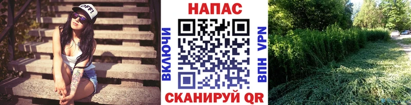Где найти наркотики Королёв Каннабис  Alpha PVP  Гашиш  МЕФ  МЕТАМФЕТАМИН  Cocaine 