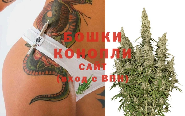 ешки Гусев