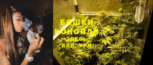 ешки Гусев