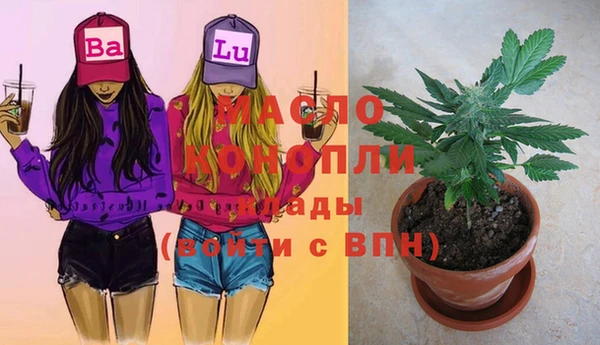ешки Гусев
