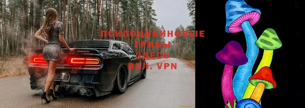 ешки Гусев